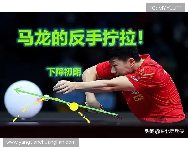 深圳乒乓球队力量表现的数据分析与训练策略探讨